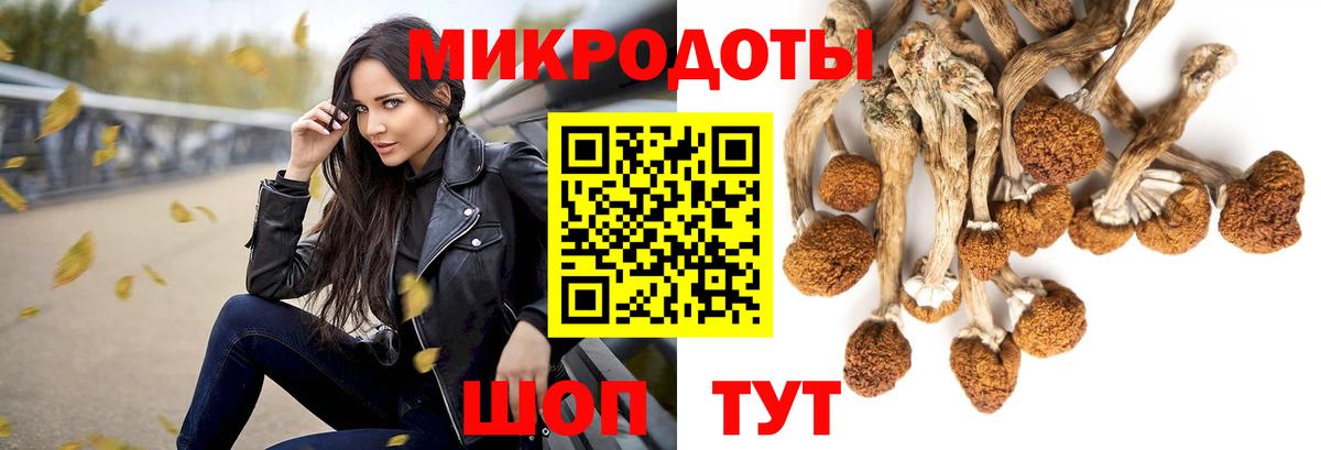 наркотики  Вход с VPN  Михайловка  Галлюциногенные грибы мухоморы 
